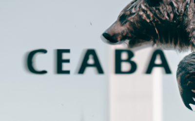 CapitalBear broker Fees, Deposits and Withdrawal methods