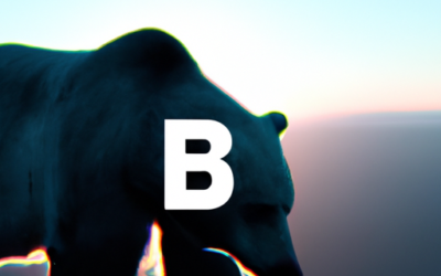 CapitalBear broker mobile app review – Android and Apple