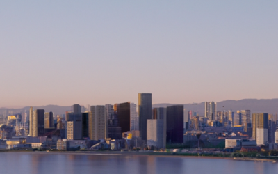 Popular alternative brokers to Trading212 broker